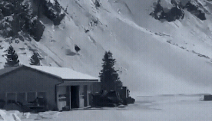 Vídeo mostra teleférico caindo no desfiladeiro de neve; uma pessoa morreu — Foto: Reprodução