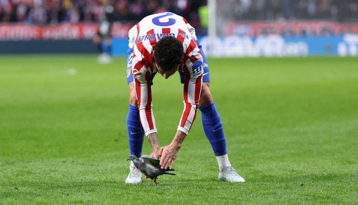 Momento em que Giménez se abaixa e agarra o pombo, para retirá-lo do campo — Foto: Thomas COE...