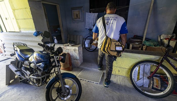 Rui Porto Filho Fumacê, controle do mosquito culex e de roedores estão entre as ações