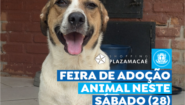 Prefeitura Municipal de Macaé