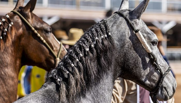 Divulgação Evento é um dos maiores do segmento no país