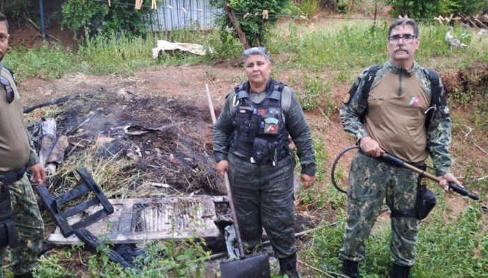 Monique Gonçalves Faria