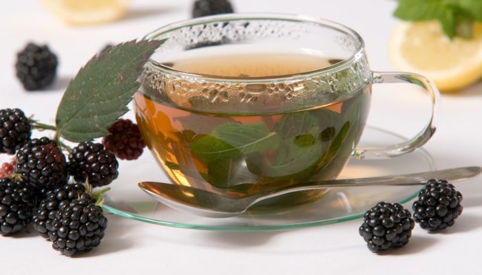 Chá de folha de amora. Foto: Václav Mach - stock.adobe.com/Adobe st