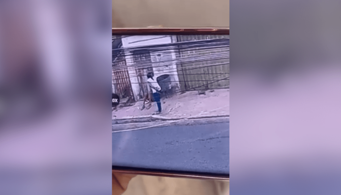 Homem que é suspeito da morte da idosa foi espancado por moradores  • Reprodução/ Portal Vo...