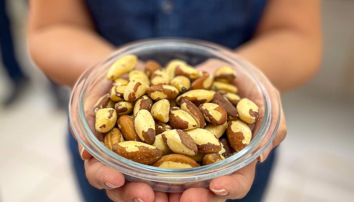 Embrapa Divulgação