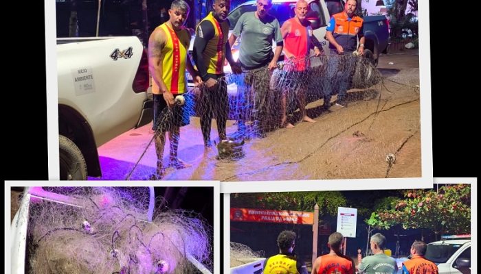 Operação conjunta com a Defesa Civil ocorreu na noite de sábado (31); crime ambiental em área de proteção resultou na morte de um animal. Fotos: Divulgação