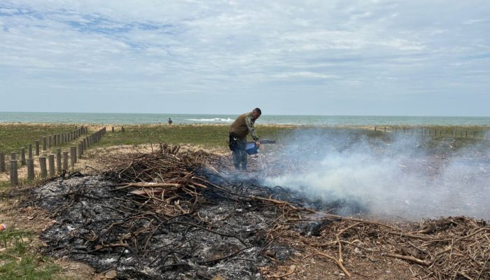 Monique Gonçalves Faria