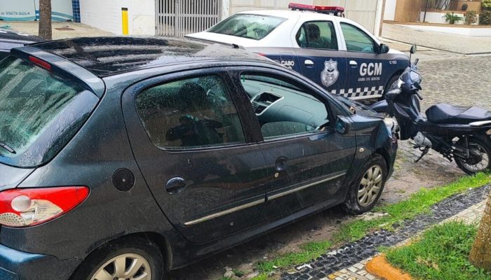 Monique Gonçalves Faria