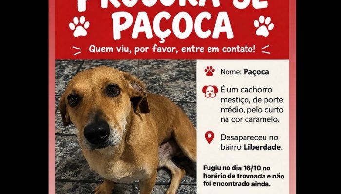PaC3A7oca_