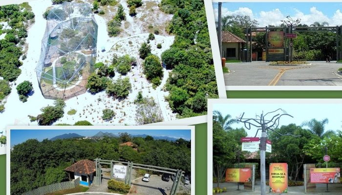 Seleção temporária oferece oportunidades imediatas e cadastro de reserva