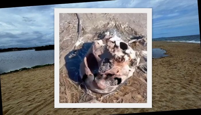 Restos mortais foram localizados nas proximidades do Mirante em trecho seco da lagoa; Polícia Civil investiga a origem e identidade