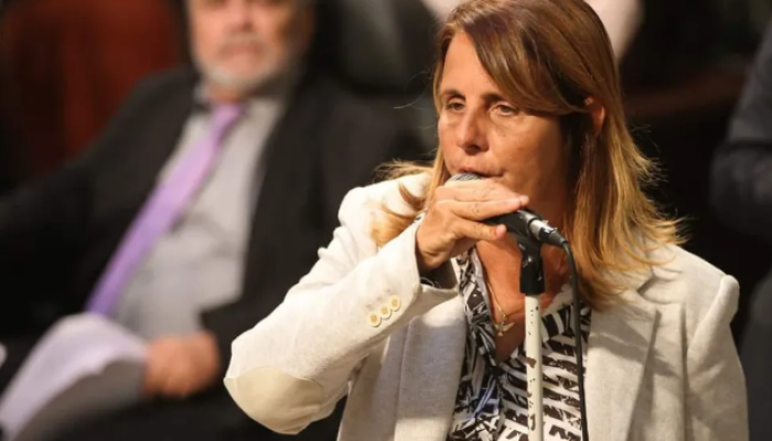 Deputada estadual Lucinha (PSD) — Foto: Reprodução/Facebook