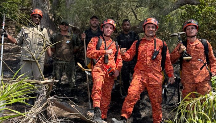 Monique Gonçalves Faria