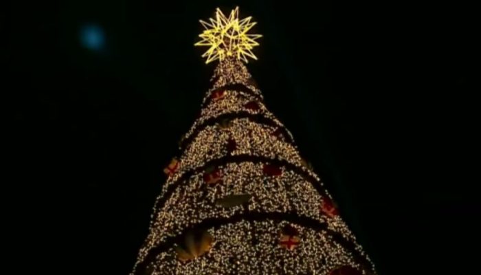 A estrela no topo, com mais de 4 metros de altura, é apenas um dos elementos que tornam a árvor...