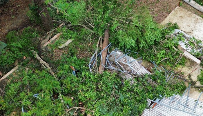 Haverá o plantio interno no terreno de 120 muda