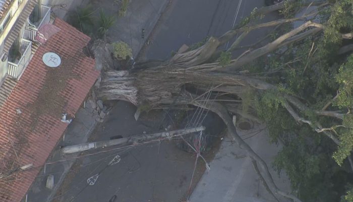 bdrj-limpo-20260730-0545-frame-156600