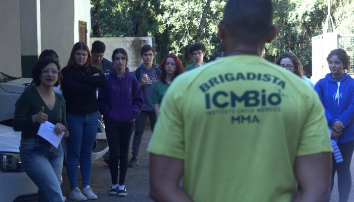 brigadista