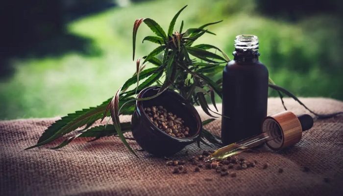 cannabis-medicinal-cbd-infos-com-pixabay-1170x675-1