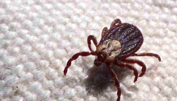 © Prefeitura de Jundiaí