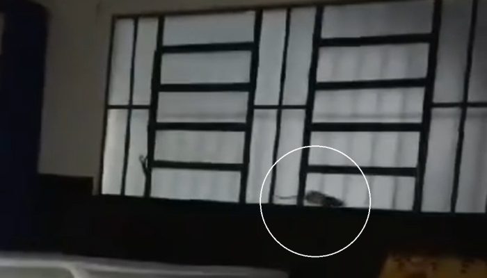 casa-de-passagem