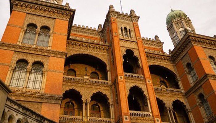 © Rodrigo Méxas/Fiocruz