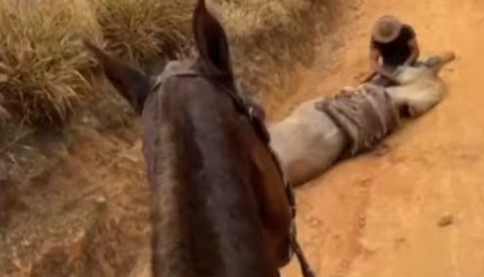 Ainda de acordo com a polícia, também foram cumpridos 14 mandados de busca e apreensão