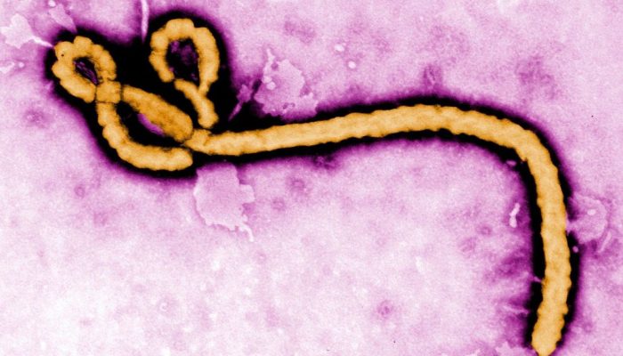 ebola_8a4b8f-e1780151831891