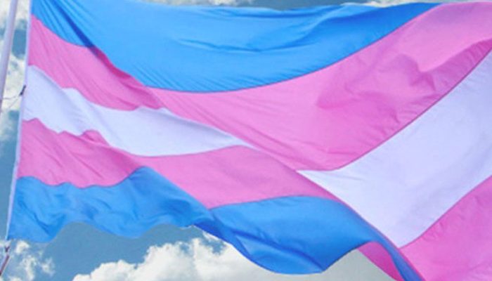 © Antra/Divulgação