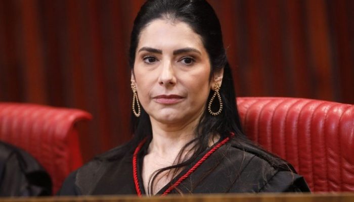 estela-aranha-lula