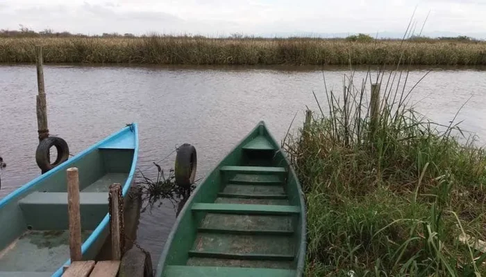 Pesquisadora Ã© achada morta apÃ³s cair em rio durante coleta de Ã¡gua no RS