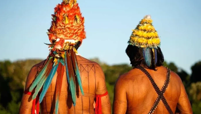 Â© RogÃ©rio Assis/Greenpeace