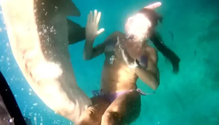 Â© ReproduÃ§Ã£o / X