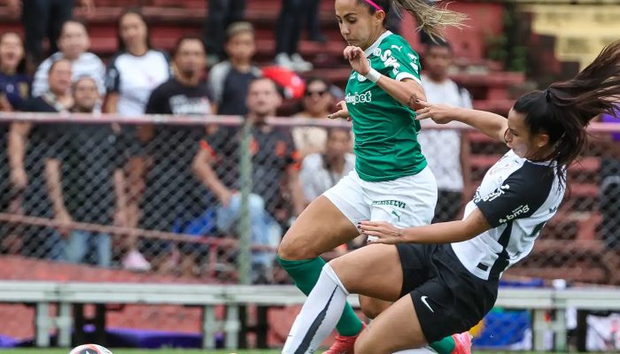 © Fábio Menotti / Palmeiras/Direitos Reservados