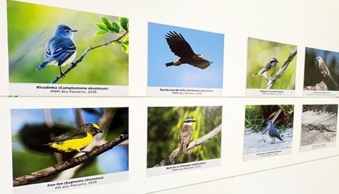 parque-dos-passaros-recebe-exposicao-conexao-selvagem-conexao-selvagem-foto-alexandre-leite-1