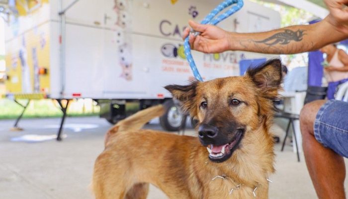 parque-zabulao-recebe-bem-estar-animal-nesta-terca-feira-bem-estar-animal-sobre-rodas-chega-ao-parque-zabulao-nos-dias-21-e-22-de-julho-foto-akilla-ribeiro