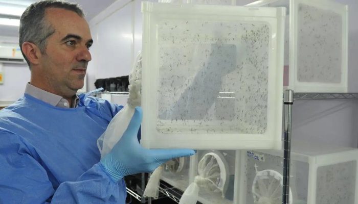 © Peter Ilicciev/WMP Brasil/Fiocruz