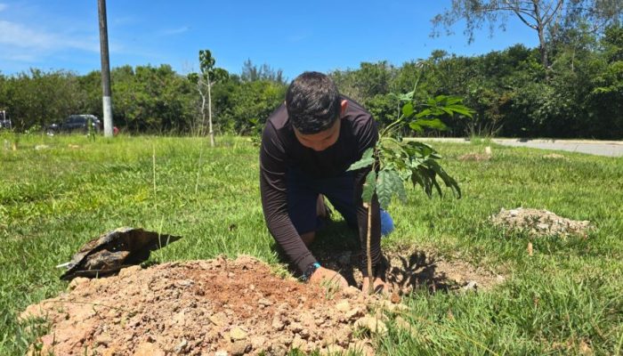 Projeto Ipês da Juventude simboliza florescimento e esperança Foto: Matheus Muller