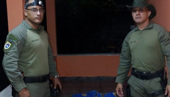 A ocorrência foi atendida pela Coordenadoria de Meio Ambiente (CMA) da Guarda Civil Municipal de...