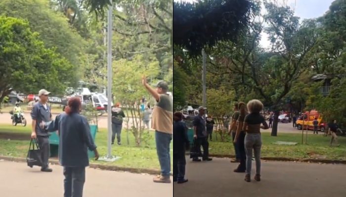 Queda da árvore aconteceu na Av. Pedro Álvares Cabral, Portão 03 do Parque Ibirapuera