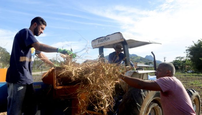 rio-das-ostras-abre-inscricoes-para-cursos-gratuitos-para-produtores-rurais-feijao-colheita-foto-jorge-ronald-36