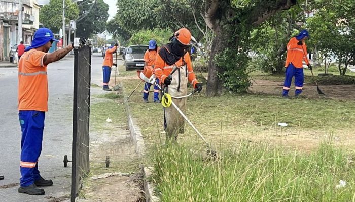 O mutirão começou no Âncora, Village, Praiamar e Terra Firme mas chegará a todas as localidad...