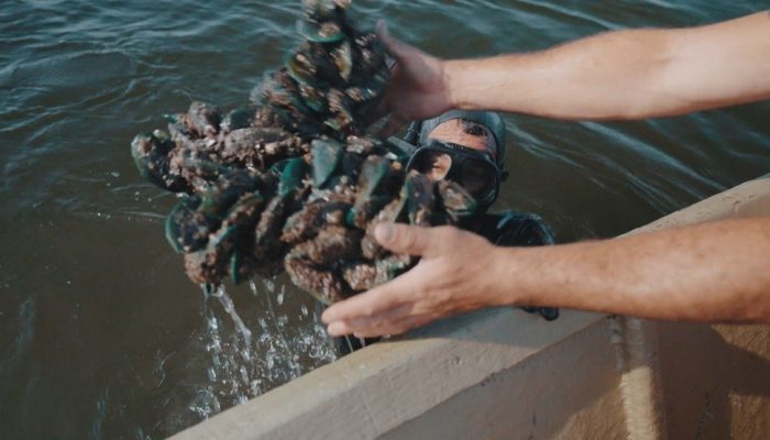  de lixo na água — Foto: Jorge Filho/TV Globo