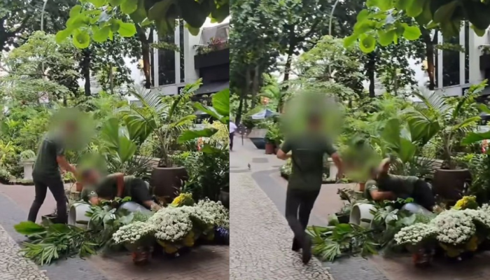 Influenciadora Flávia Pavanelli flagra 'UFC' de vendedores com óculos câmera — Foto: Reprodu...