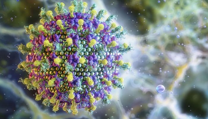 © Ruslanas Baranauskas/Divulgação